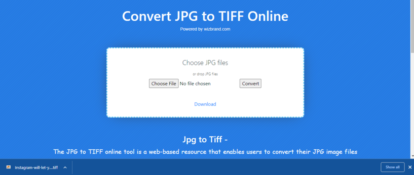 Convert Your JPG Images to TIFF Online Effortlessly By Wizbrand ...